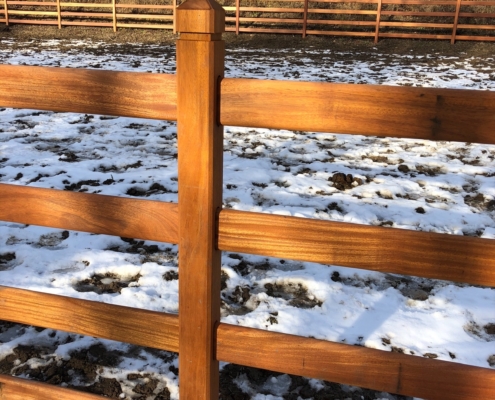 Foto 06-02-2019 15 30 24