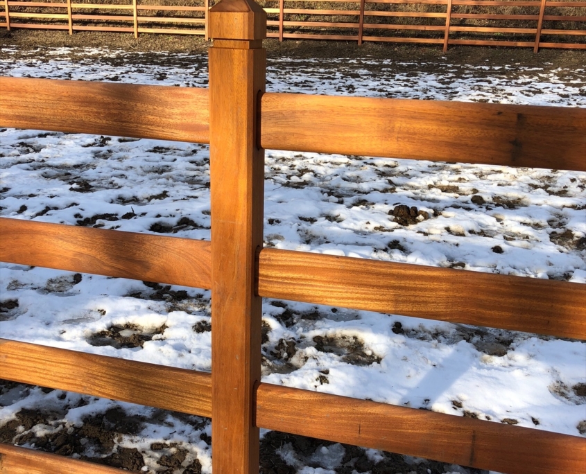 Foto 06-02-2019 15 30 24
